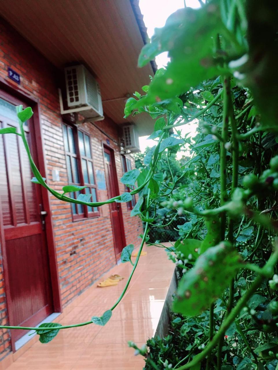 Nam Cat Tien Homestay Esterno foto